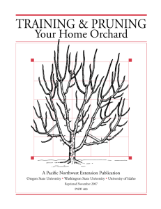 Training and Pruning Your Home Orchard, PNW 400 (Oregon State