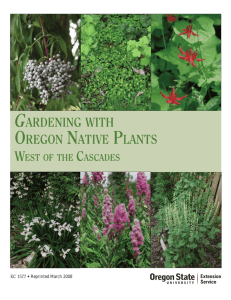 Gardening with Oregon Native Plants