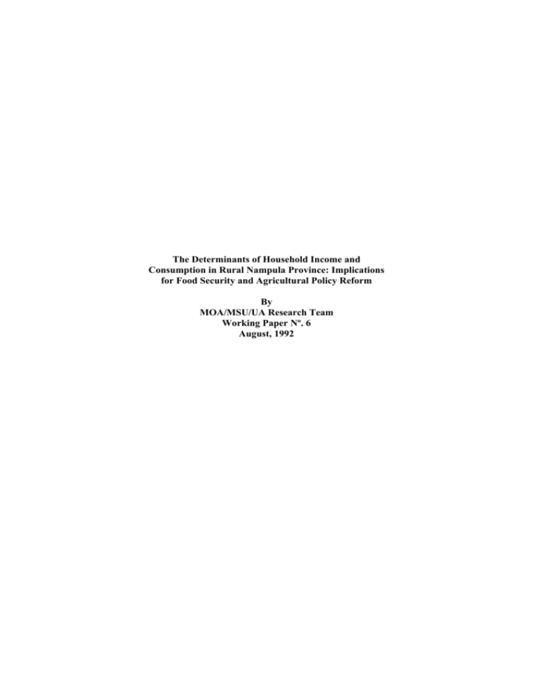 The Determinants of Household Income and Consumption in Rural