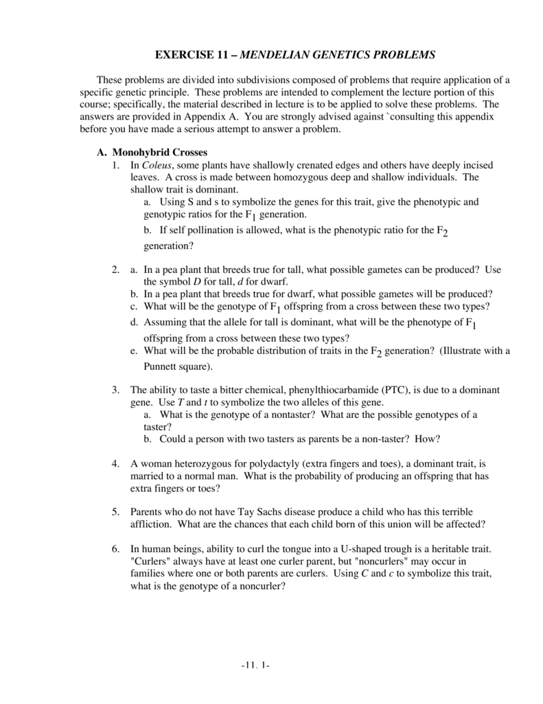 Exercise 11 Mendelian Genetics Problems