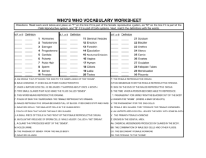 who's who vocabulary worksheet