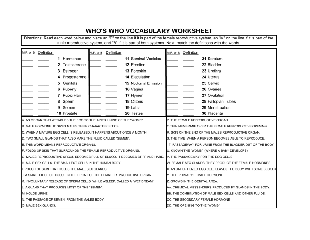 who's who vocabulary worksheet