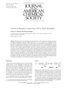 Catalysis of Phosphoryl Transfer from ATP by Amine Nucleophiles