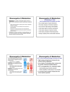 Bioenergetics & Metabolism Bioenergetics & Metabolism