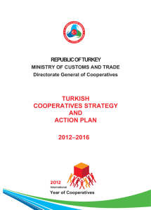 Turkish Cooperatives Strategy and Action Plan