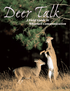 A Field Guide to Whitetail Communication