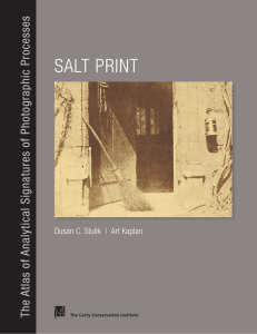 Salt Print - The Getty