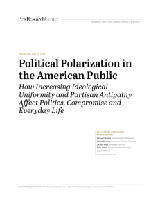 Political Polarization in the