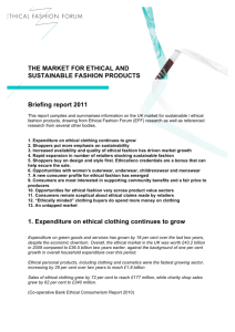 Market for sustainable fashion_Briefing