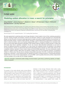 Modeling carbon allocation in trees: a search for principles