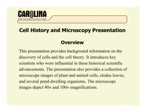 Activity 2- Cell History and Microscopy