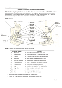 Microscope E Lab - Biology Junction