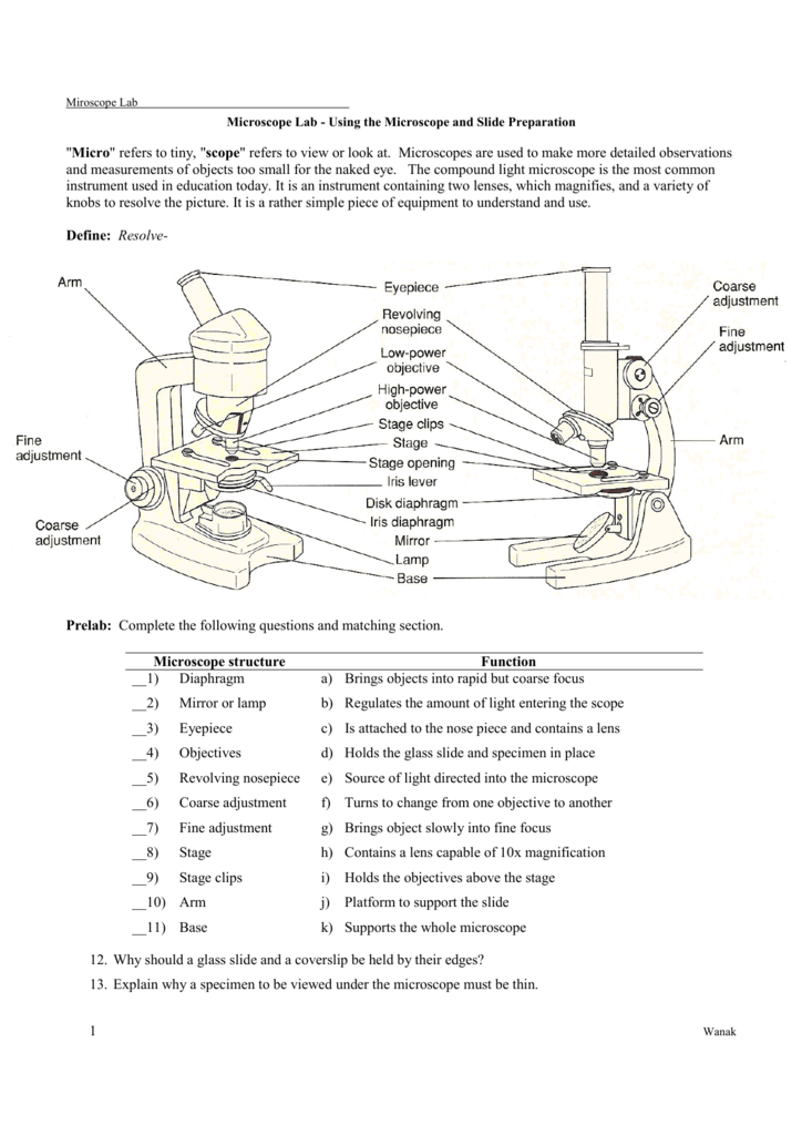 Microscope Lab Worksheet