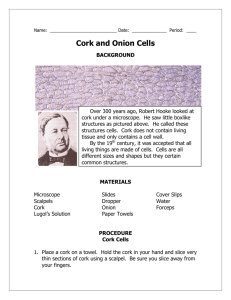 Cork and Onion Cells