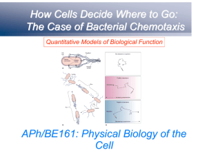 The Case of Bacterial Chemotaxis