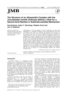 The Structure of an Allosamidin Complex with the