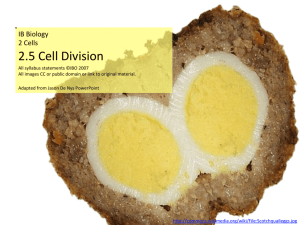 2.5 Cell Division