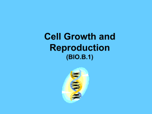 Bio B-1 Cell Growth and reproduction