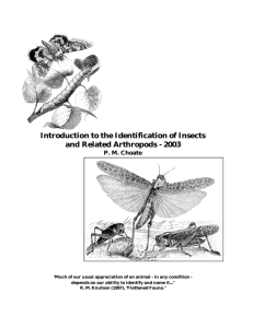 Introduction to the Identification of Insects and Related Arthropods