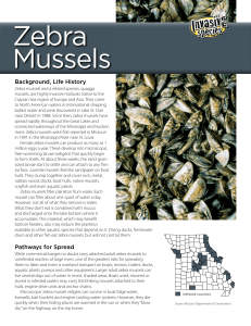 Zebra Mussels - Missouri Stream Team Program