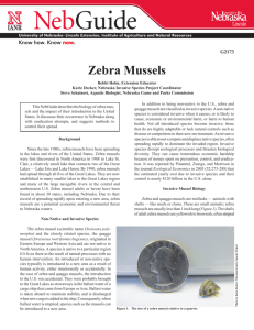 Zebra Mussels - University of Nebraska–Lincoln