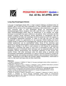 PEDIATRIC SURGERY Update Vol. 42 No. 04 APRIL