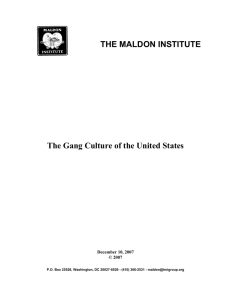 THE MALDON INSTITUTE The Gang Culture of the United States
