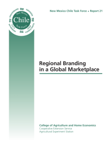 Regional Branding in a Global Marketplace