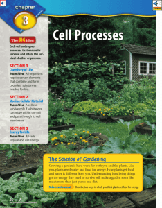 Chapter 3: Cell Processes