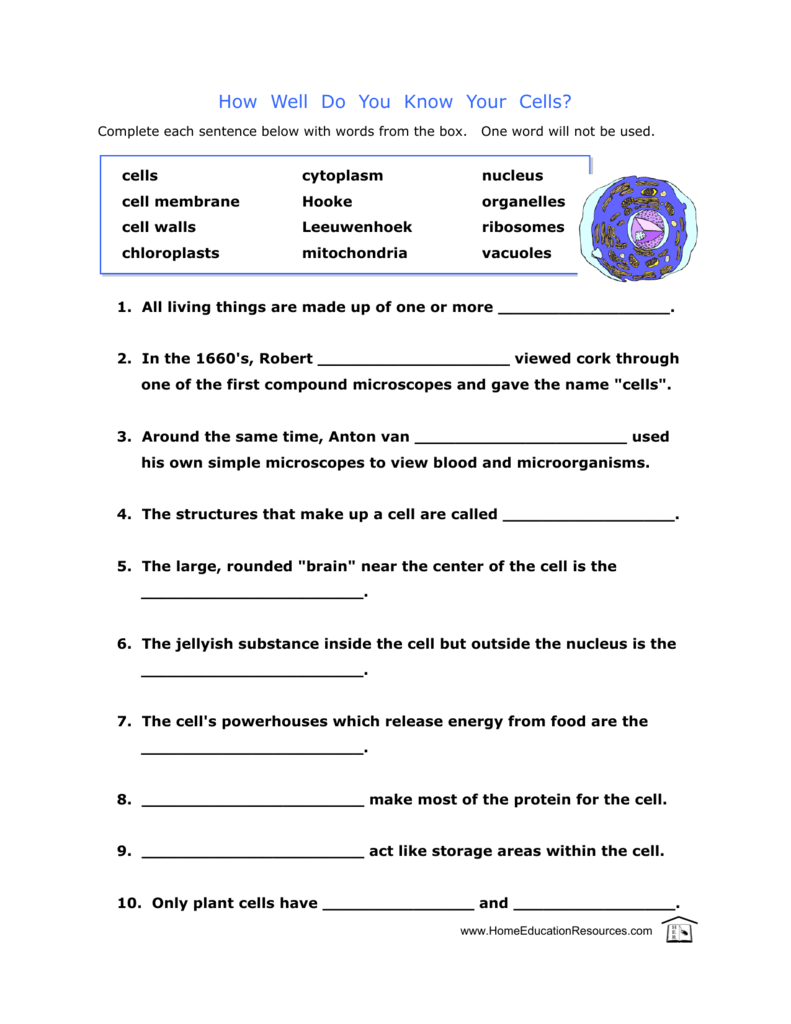 How Well Do You Know Your Cells 