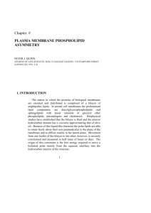 Chapter # PLASMA MEMBRANE PHOSPHOLIPID ASYMMETRY