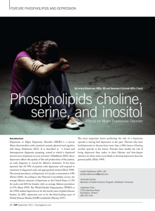 Phospholipids choline, serine, and inositol