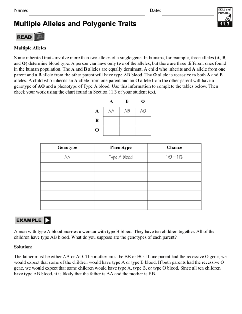 Multiple Alleles and Polygenic Traits