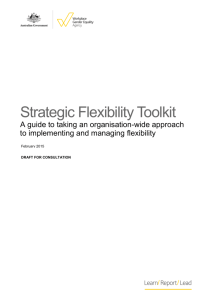 Strategic approach to flexibility - The Workplace Gender Equality