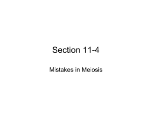 Mistakes in Meiosis