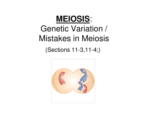 MEIOSIS: Genetic Variation / Mistakes in Meiosis