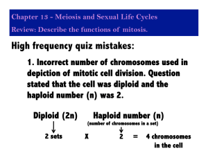 High frequency quiz mistakes: