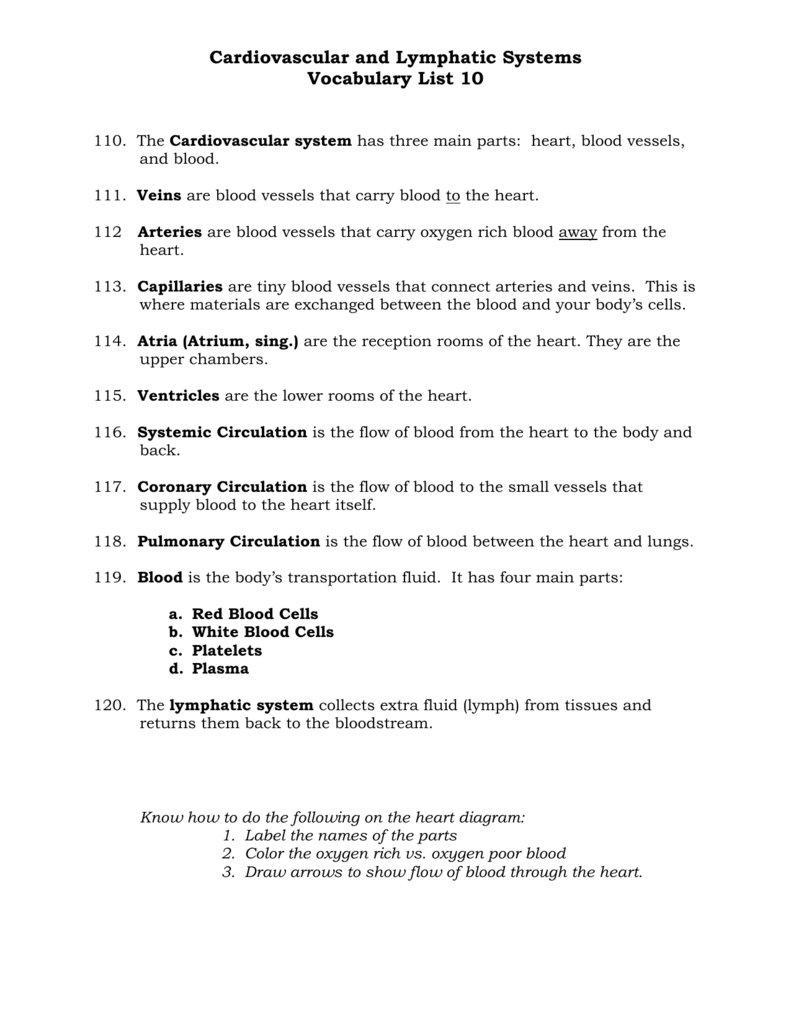 The cardiovascular system has three main parts Within The Cardiovascular System Worksheet