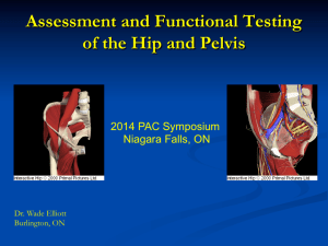 Assessment and Functional Testing of the Hip and Pelvis