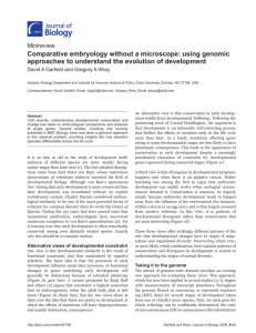 Comparative embryology without a microscope: using genomic
