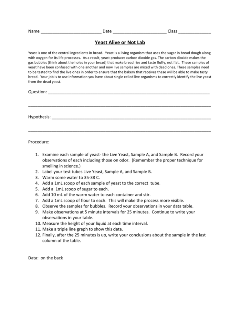 Yeast Alive Or Not Lab