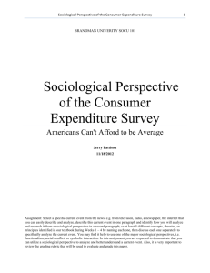 Sociological Perspective of the Consumer