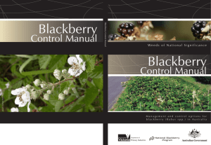 Blackberry control manual - Victorian Blackberry Taskforce