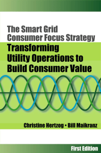 The Smart Grid Consumer Focus Strategy