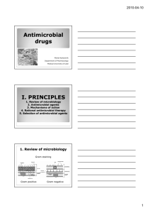 Antimicrobial drugs I. PRINCIPLES
