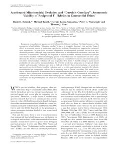 pdf. - Wainwright Lab - University of California, Davis