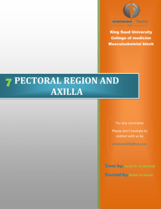 7: Pectoral Region
