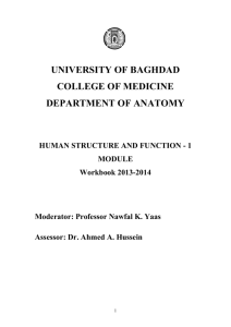 university of baghdad college of medicine department of anatomy