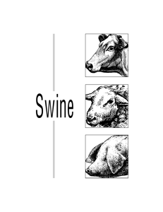 Swine - Mississippi State University Extension Service