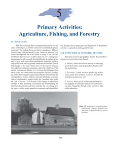 Primary Activities: Agriculture, Fishing, and Forestry